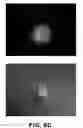 Fig. 08 - METHODS FOR GENERATING ENDOGENOUSLY TAGGED PROTEINS