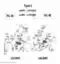 Fig. 07 - Osteogenic proteins