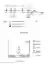 Fig. 08 - METHODS AND COMPOSITIONS FOR INHIBITING HIV TRANSMISSION