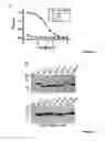 Fig. 03 - CLOSTRIDIUM DIFFICILE-SPECIFIC ANTIBODIES AND USES THEREOF