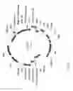 Fig. 67 - Antibody producing non-human animals