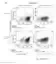 Fig. 80 - Antibody producing non-human animals