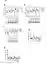 Fig. 06 - Methods and compositions for treating an alphavirus infection
