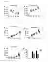Fig. 07 - Methods and compositions for treating an alphavirus infection