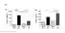 Fig. 08 - Methods and compositions for treating an alphavirus infection