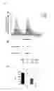 Fig. 09 - Methods and compositions for treating an alphavirus infection