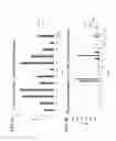 Fig. 02 - Antibody agents specific for human CD19 and uses thereof