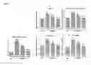 Fig. 08 - COMPOSITIONS AND METHODS FOR INCREASING MUSCLE GROWTH