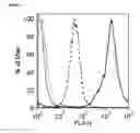 Fig. 09 - COMPOSITIONS AND METHODS FOR INCREASING MUSCLE GROWTH