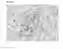 Fig. 13 - Antibodies that bind to AXL proteins