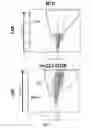 Fig. 06 - CD123 SPECIFIC MULTI-CHAIN CHIMERIC ANTIGEN RECEPTOR