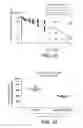 Fig. 46 - Anti-transferrin receptor antibodies and methods of use