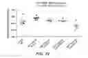 Fig. 48 - Anti-transferrin receptor antibodies and methods of use