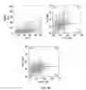 Fig. 12 - COMPOSITIONS COMPRISING CHIMERIC ANTIGEN RECEPTORS, T CELLS COMPRISING THE SAME, AND METHODS OF USING THE SAME