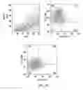 Fig. 13 - COMPOSITIONS COMPRISING CHIMERIC ANTIGEN RECEPTORS, T CELLS COMPRISING THE SAME, AND METHODS OF USING THE SAME