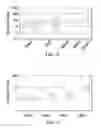 Fig. 15 - COMPOSITIONS COMPRISING CHIMERIC ANTIGEN RECEPTORS, T CELLS COMPRISING THE SAME, AND METHODS OF USING THE SAME
