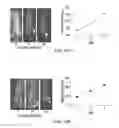 Fig. 23 - COMPOSITIONS COMPRISING CHIMERIC ANTIGEN RECEPTORS, T CELLS COMPRISING THE SAME, AND METHODS OF USING THE SAME