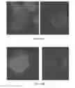 Fig. 25 - COMPOSITIONS COMPRISING CHIMERIC ANTIGEN RECEPTORS, T CELLS COMPRISING THE SAME, AND METHODS OF USING THE SAME