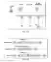 Fig. 30 - COMPOSITIONS COMPRISING CHIMERIC ANTIGEN RECEPTORS, T CELLS COMPRISING THE SAME, AND METHODS OF USING THE SAME