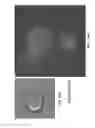 Fig. 34 - COMPOSITIONS COMPRISING CHIMERIC ANTIGEN RECEPTORS, T CELLS COMPRISING THE SAME, AND METHODS OF USING THE SAME