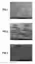 Fig. 02 - Flat elliptical polymer particles, and use thereof