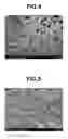 Fig. 03 - Flat elliptical polymer particles, and use thereof