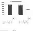Fig. 07 - QUATERNARY PHOSPHONIUM COATED SURFACES AND METHODS OF MAKING THE SAME