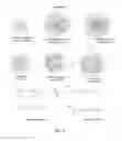 Fig. 13 - Polymeric nanogels with degradable backbones and from gras components, and compositions and methods thereof