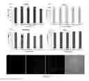 Fig. 18 - Polymeric nanogels with degradable backbones and from gras components, and compositions and methods thereof
