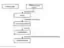 Fig. 01 - Process for preparing cellulose solution and equipment therefor