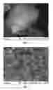 Fig. 03 - Filled elastomers with improved thermal and mechanical properties