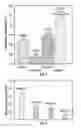 Fig. 05 - Filled elastomers with improved thermal and mechanical properties
