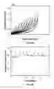 Fig. 16 - Filled elastomers with improved thermal and mechanical properties