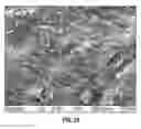 Fig. 24 - Filled elastomers with improved thermal and mechanical properties