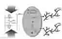 Fig. 01 - Methods for synthesis of end-functionalized polyolefins