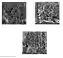 Fig. 01 - Renewable and cost-effective fillers for polymeric materials
