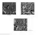 Fig. 02 - Renewable and cost-effective fillers for polymeric materials