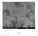 Fig. 05 - Cellulose platelet compositions, methods of preparing cellulose platelet compositions and products comprising same