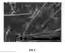 Fig. 04 - Preparation method for electromagnetic wave shield composite material using copper- and nickel-plated carbon fiber prepared by electroless and electrolytic continuous processes, and electromagnetic wave shield composite material