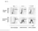 Fig. 41 - MEMBRANE-RECEIVER COMPLEX THERAPEUTICS