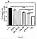 Fig. 06 - COMPOSITION AND METHOD OF STEM CELLS FOR PRESERVATION OF CARDIAC TISSUE