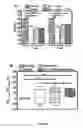 Fig. 07 - COMPOSITION AND METHOD OF STEM CELLS FOR PRESERVATION OF CARDIAC TISSUE