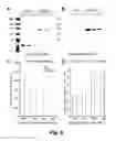 Fig. 09 - METHODS AND PRODUCTS FOR ENRICHING AND ISOLATING STEM CELLS