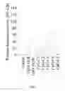 Fig. 13 - Method of stimulating TLR9-activated immune response