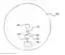 Fig. 01 - DEVICES AND METHODS TO DETECT BIOMARKERS USING OLIGONUCLEOTIDES
