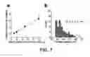 Fig. 08 - METHOD AND APPARATUS FOR ULTRASENSITIVE QUANTITATIVE ANALYSIS OF DNA BIOMARKER