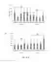 Fig. 04 - Methods for assessing the purity of a mesenchymal stem cells preparation