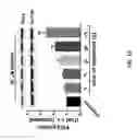Fig. 16 - Methods for treating Parkinson's disease