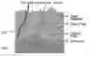 Fig. 01 - PLASMA RESISTANT COATING FILM AND FABRICATING METHOD THEREOF