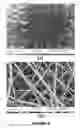 Fig. 06 - Stable electrospinning composition for stable Nano-/submicrostructure production and preparation method thereof